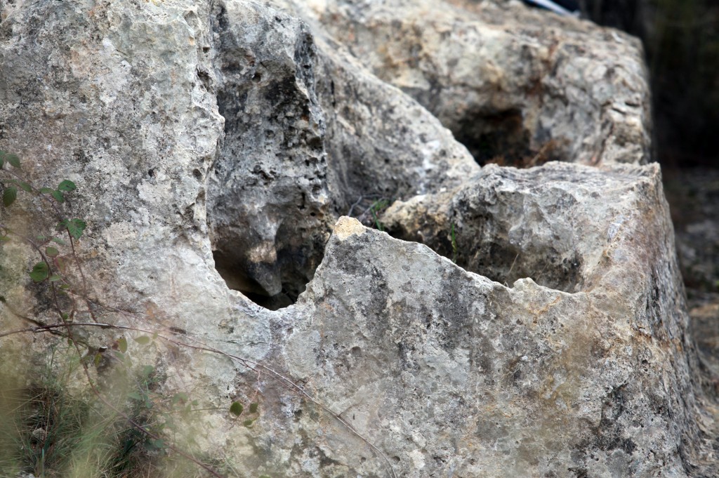 La visita també recorre les pedreres més pròximes d'on es treien els blocs de pedra. / ©Pere Toda-Vilaniu Comunicació